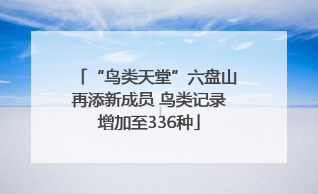“鸟类天堂”六盘山再添新成员 鸟类记录增加至336种